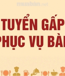 Tuyển Nhân Viên Phục Vụ Làm Tại Quận 10