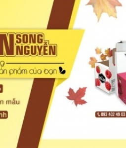 Công Ty TNHH Bao Bì Song Nguyễn - In Hộp Giấy, Túi Giấy Giá Rẻ