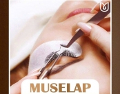 Tiệm Nối Mi Đẹp Quận 11, Spa Chăm Sóc Da Uy Tín Quận 11