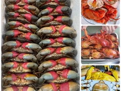 Vựa Hiếu Cua Cung Cấp Sỉ Lẻ Cua Biển